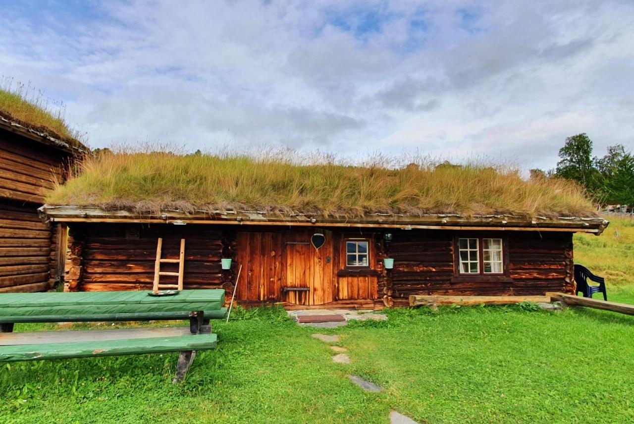 Lokken Fjellgard Villa Folldal Bagian luar foto