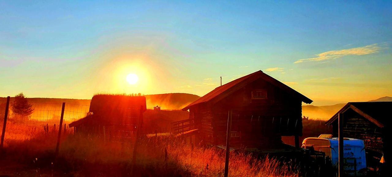 Lokken Fjellgard Villa Folldal Bagian luar foto