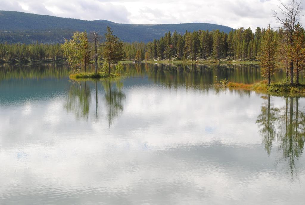 Lokken Fjellgard Villa Folldal Bagian luar foto