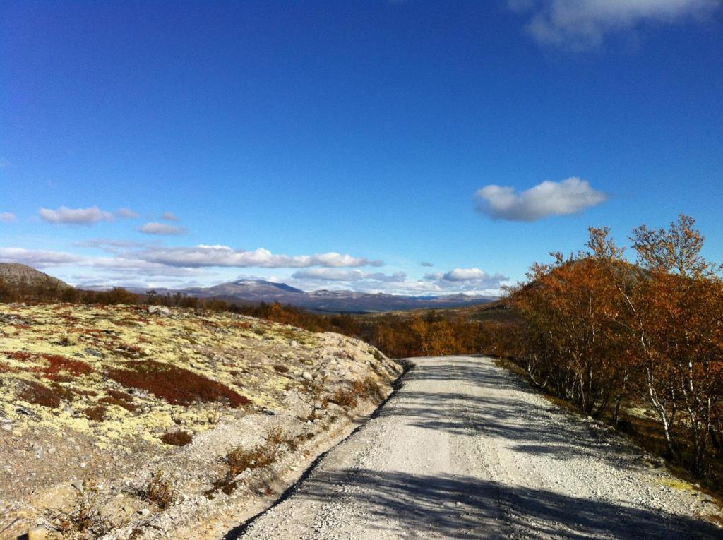 Lokken Fjellgard Villa Folldal Bagian luar foto