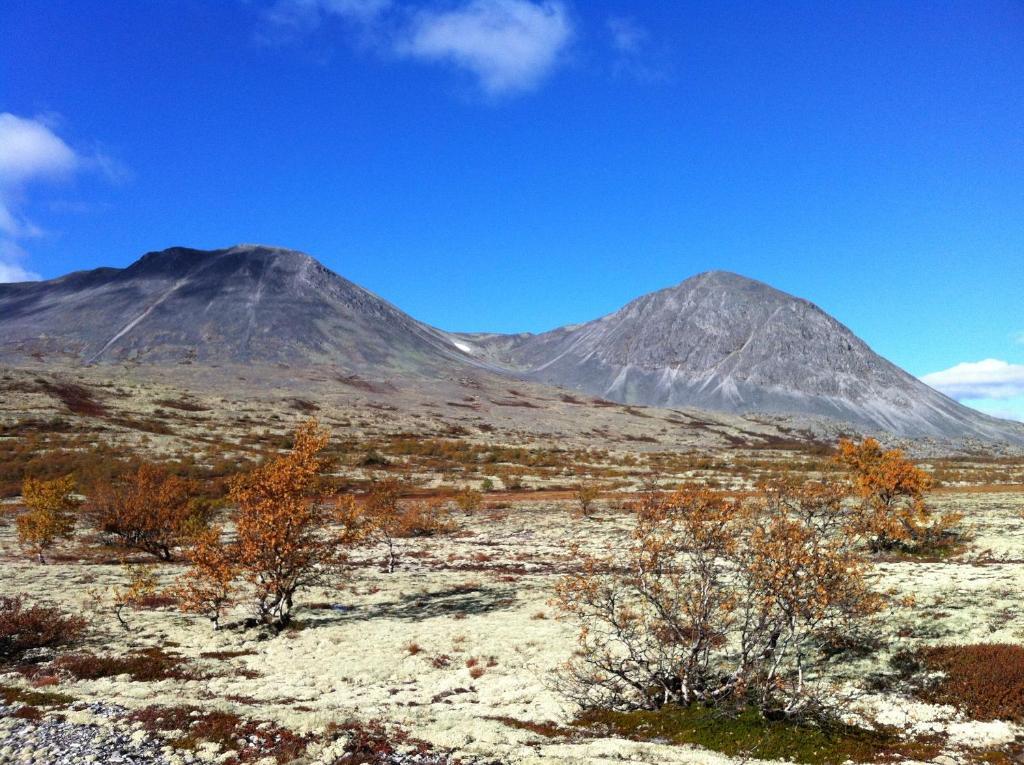 Lokken Fjellgard Villa Folldal Bagian luar foto