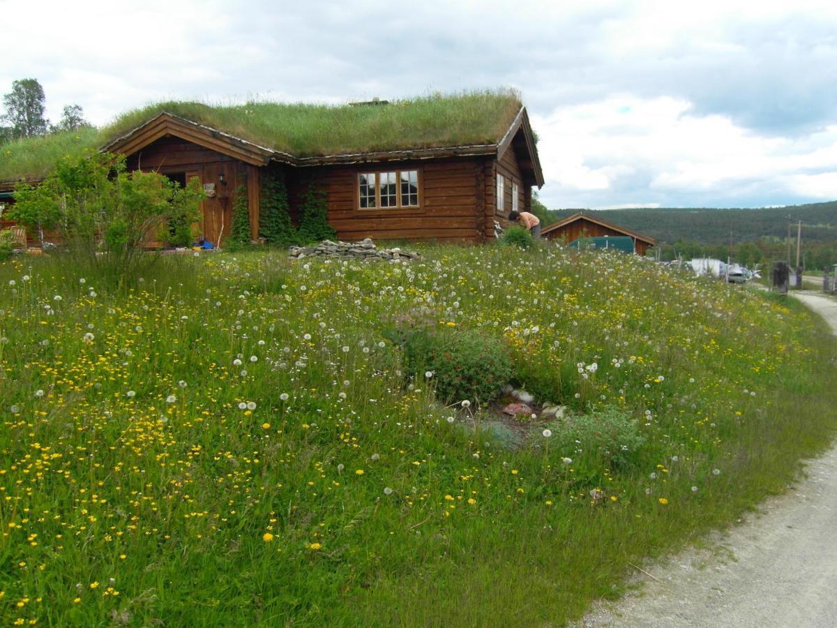 Lokken Fjellgard Villa Folldal Bagian luar foto