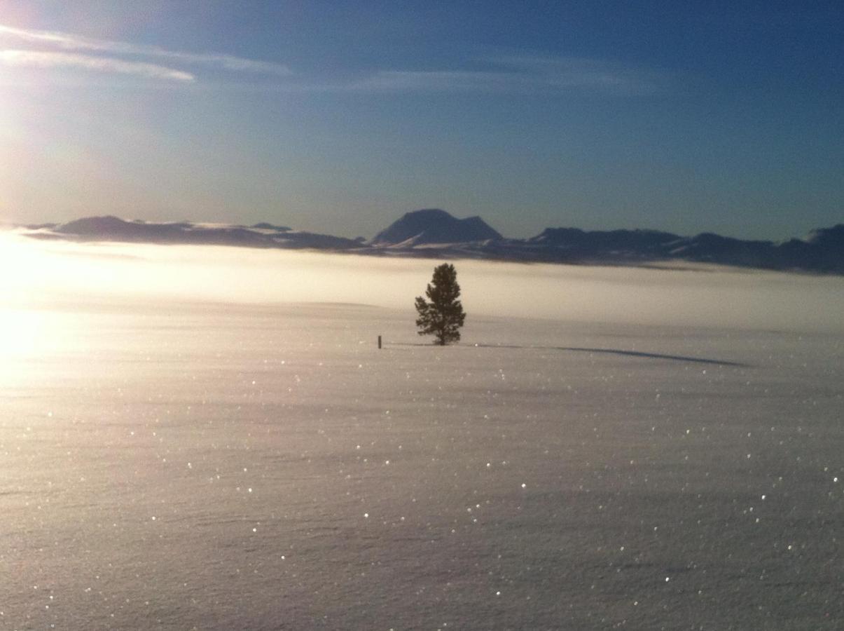 Lokken Fjellgard Villa Folldal Bagian luar foto